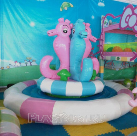 Rotating Sea Horse