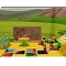 Игровая комната Динозавры (20 м²)