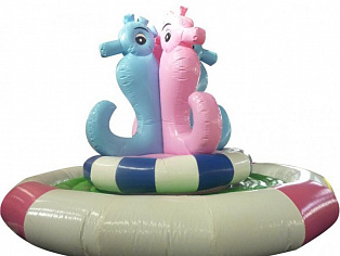 Rotating Sea Horse